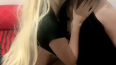 WIDYA Lesbong