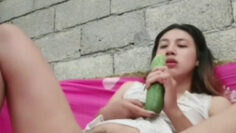DEWI Janda Rantau Kesepian main Timun